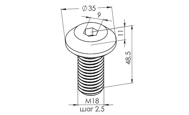 Крепежный винт с резьбой М18 для крепления спайдера, длина 50 мм, шаг резьбы 2,5 мм (AISI316) k652-2 2